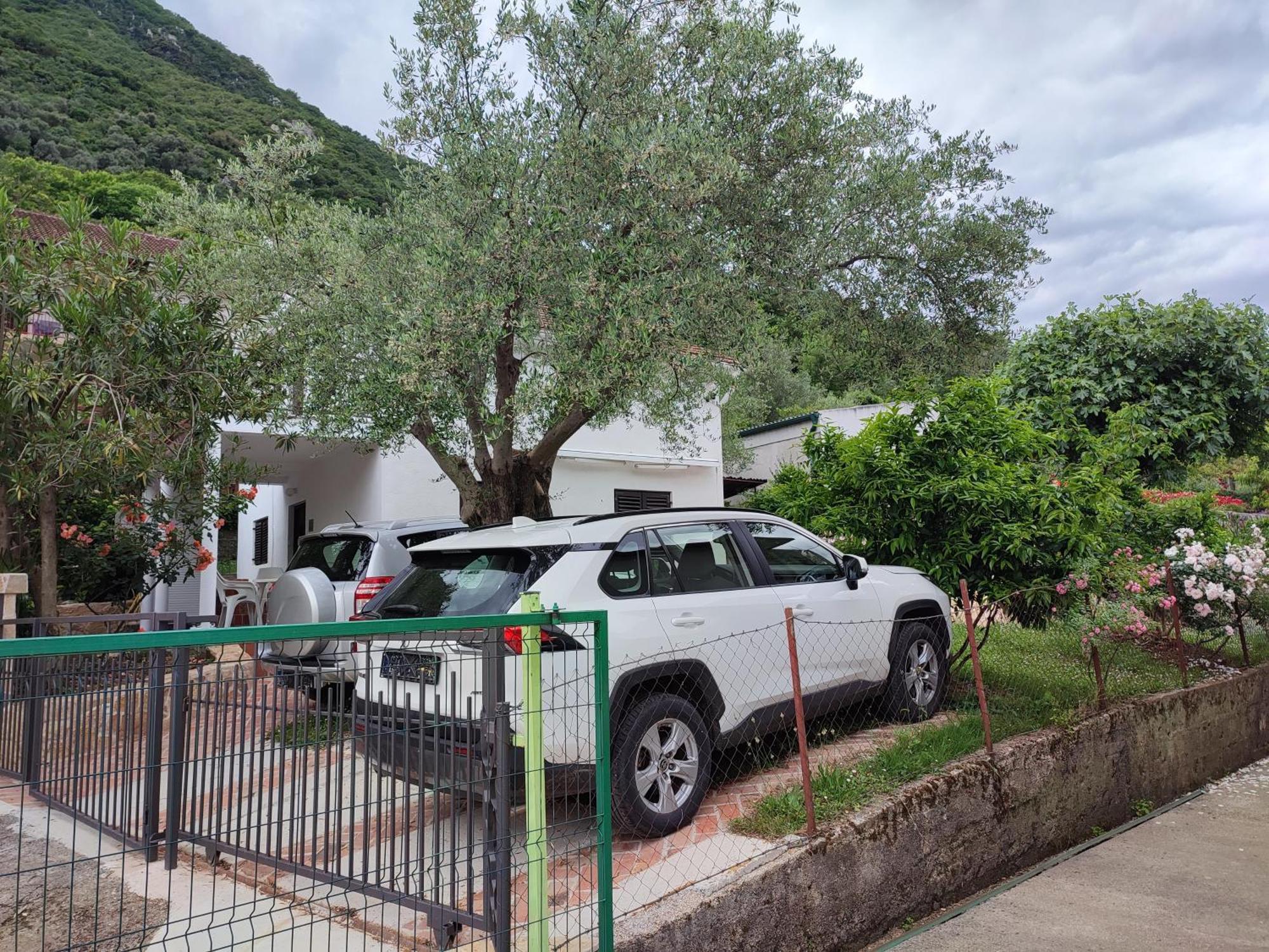 Holiday House In The Kotor Bay Exteriör bild